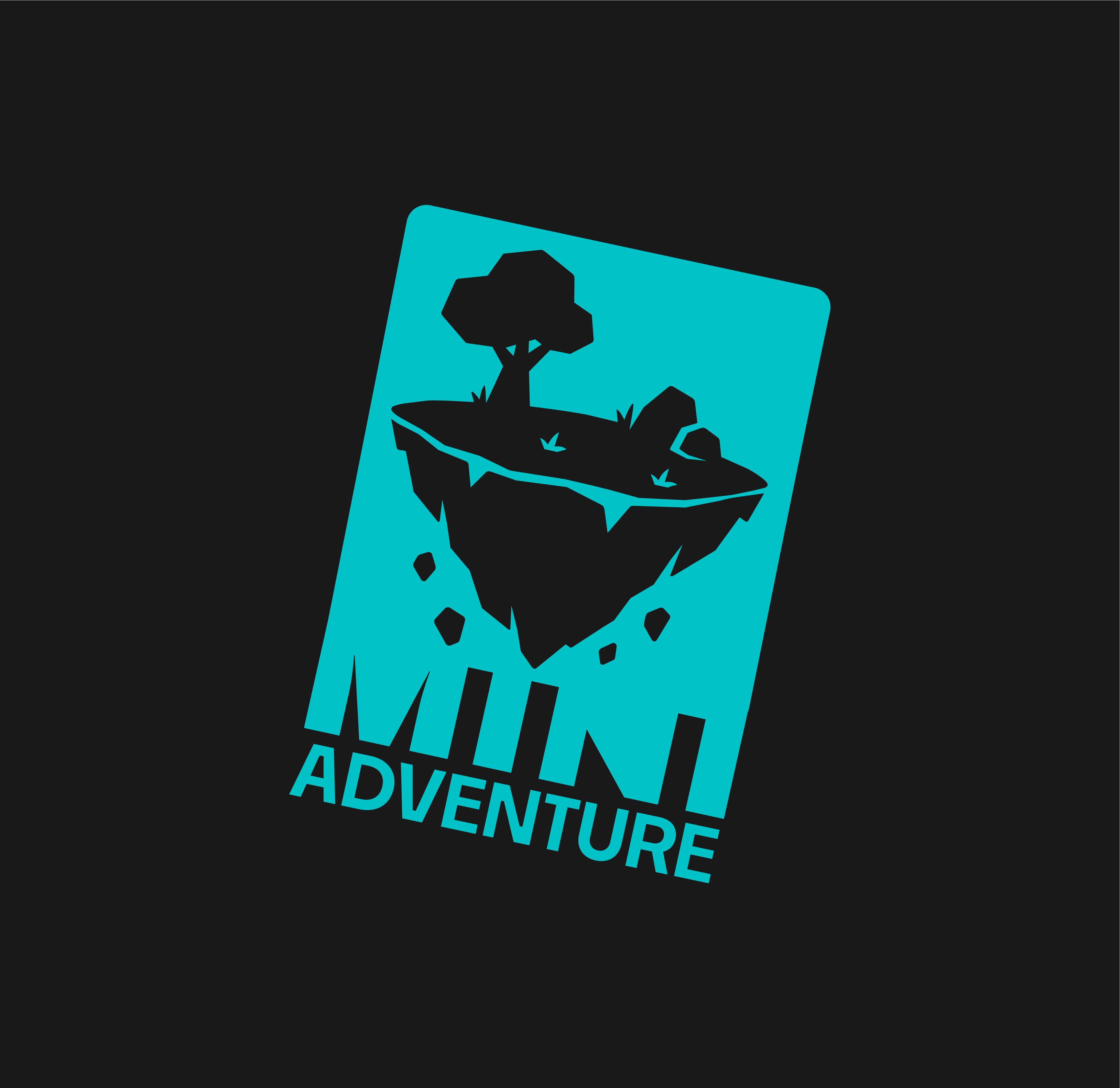 Channel Mini Adventures